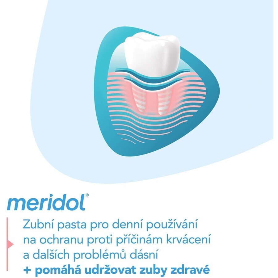 Meridol Gum Protection Pasta dentífrica 2 x 75 ml