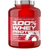 Scitec Nutrition 100% Whey Protein Professional Erdbeere 2350 g