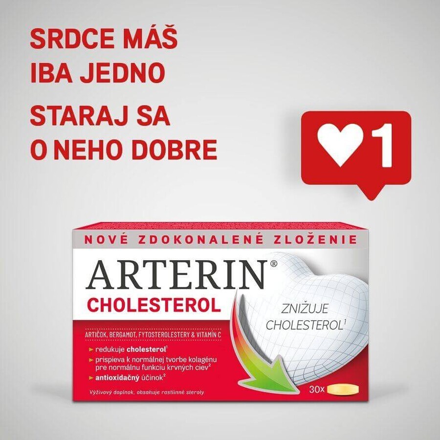 Arterin Cholesterin 90 Tabletten