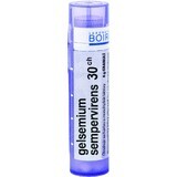 Boiron Gelsemium Sempervirens CH30 Granulat 4 g