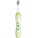 Chicco baby toothbrush My first milk teeth green 6m+