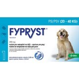 Fypryst Psy 20-40 kg Solution for skin drip for dogs 1 pc