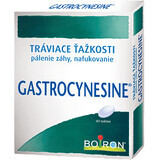 Boiron Gastrocynesin 60 Tabletten