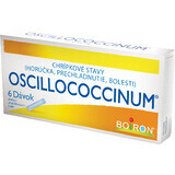 Boiron Oscillococcinum 6 Stück