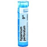 Boiron Hypericum Perforatum CH9 Granulat 4 g