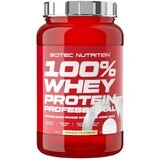 Scitec Nutrition 100% Molkenprotein Professional, Vanille 920 g