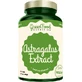 GreenFood Nutrition Astragalus-Extrakt 90 Kapseln