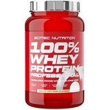 Scitec Nutrition 100% Whey Protein Professional Vanille / Beeren 920 g