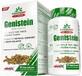 GreenDay ProVegan Genistein 60 Kapseln