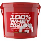 Scitec Nutrition 100% Whey Protein Professional ciocolată / alune 5000 g