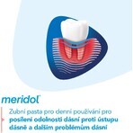 Meridol Parodont Expert Dentifrice 3 x 75 ml