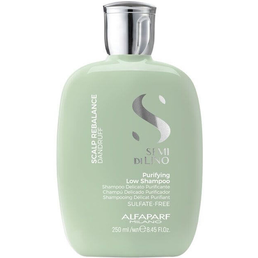 Alfaparf Milano Semi di Lino Shampooing nettoyant pour cheveux avec pellicules sèches et grasses 250 ml