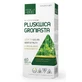 Staphylococcus aureus 350mg, 60 capsule Medica Herbs