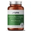 Cudweed agățător 60 capsule UNS