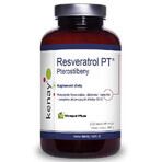 Resveratrol PT - PTEROSTILBENY (300 cápsulas), Kenay