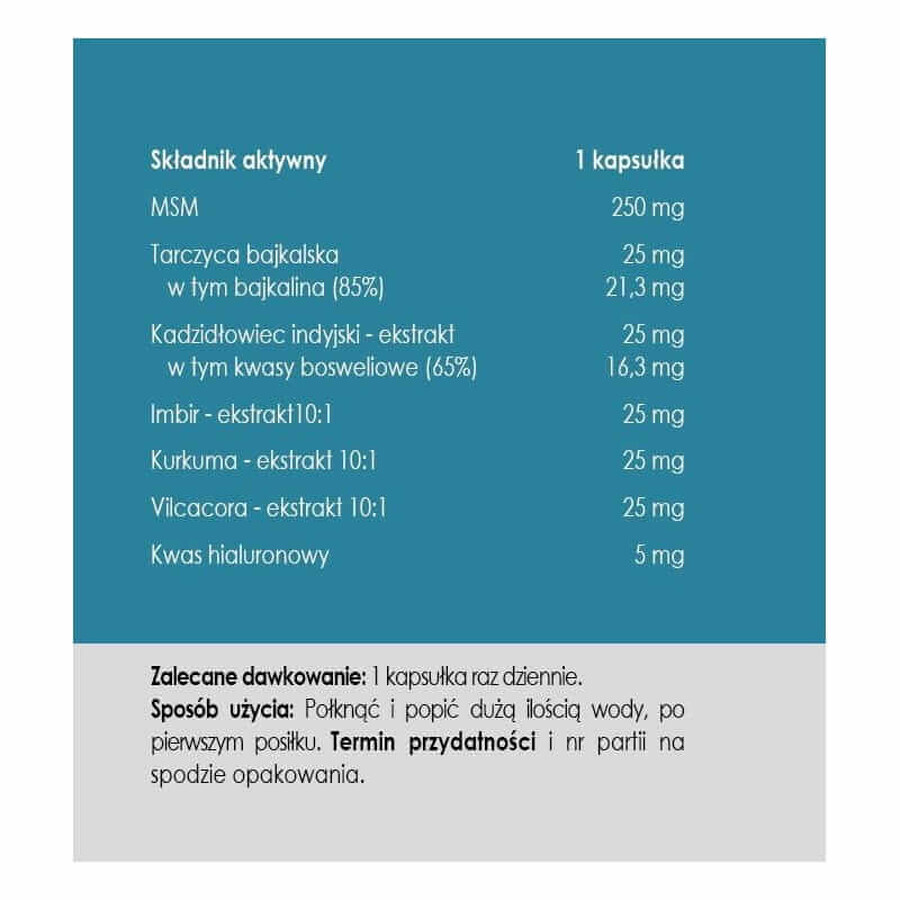 Panaseus joint formula 50 capsules