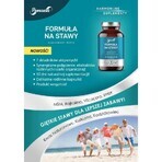 Panaseus joint formula 50 capsules