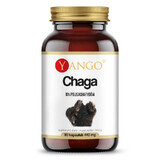 Chaga-Extrakt 10% Polysaccharid (90 Kapseln) YANGO