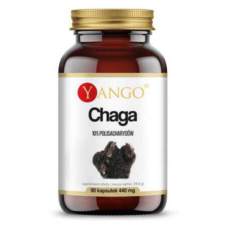 Extrait de Chaga 10% polysaccharide (90 gélules) YANGO