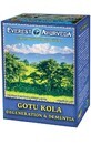 Ayurvedischer Tee GOTU KOLA Degeneration der Gehirnfunktion 100g Everest Ayurveda