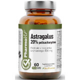 Astragalus 20% Polysaccharid 60 Kapseln Pharmovit Clean Label