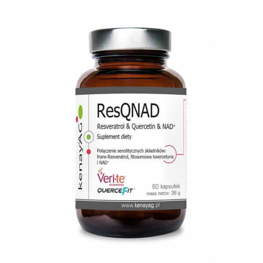 ResQNAD Resveratrol & Quercetine & NAD+ (resveratrol, quercetine, NAD) (60 capsules) Kenay