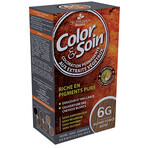 Colour & Soin Haarfarbe (dunkles Goldblond) 6G 135ml