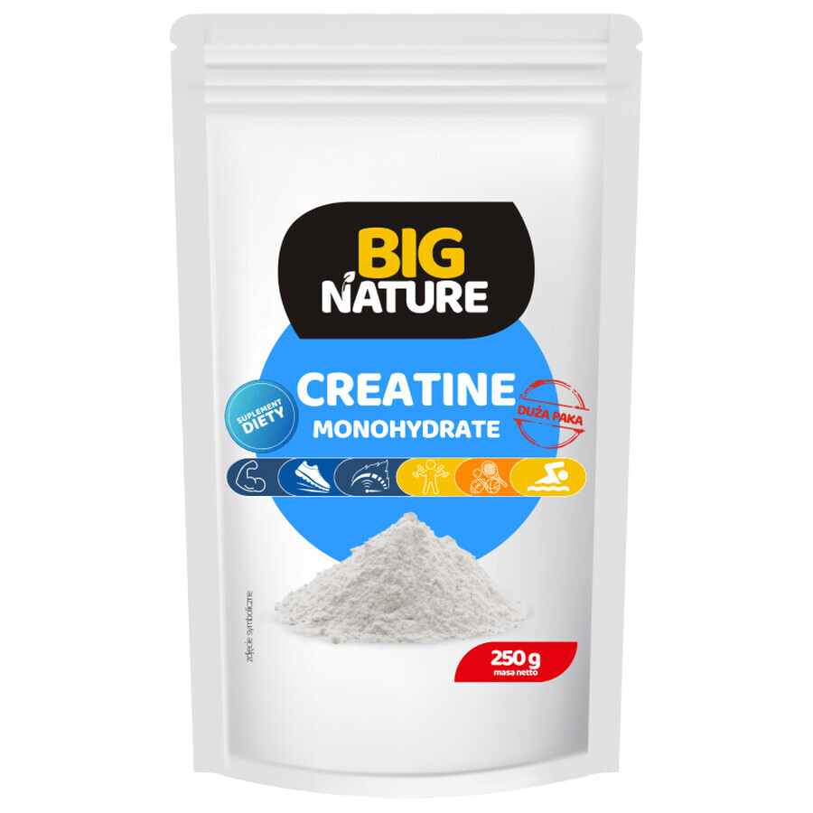 Kreatin-Monohydrat 250 g Big Nature