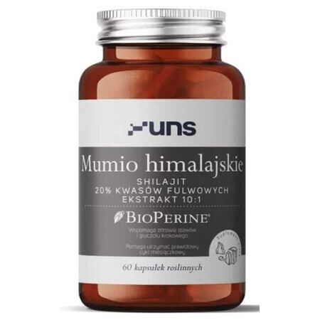 Himalaya Mumie 60 Kapseln UNS