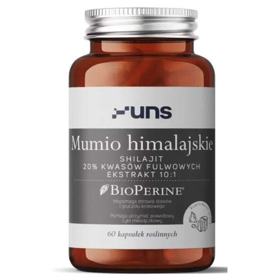 Himalaya Mumie 60 Kapseln UNS