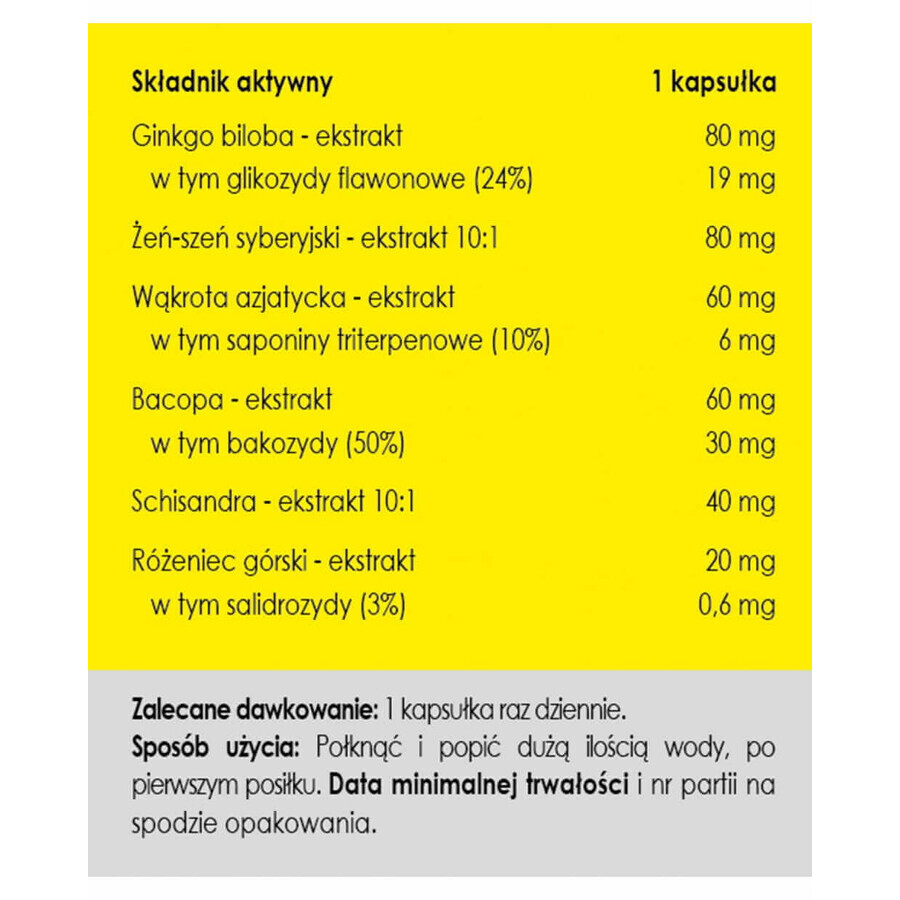 Gedächtnis ohne Grenzen Panaseus 50 Kapseln