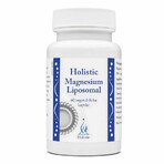 Ganzheitliches Magnesium - liposomales Magnesium 60 Kapseln