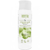 Micellar cleansing water with green tea 300ml Anthyllis