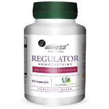 Aliness Homocysteine Regulator 60 vegetarian capsules