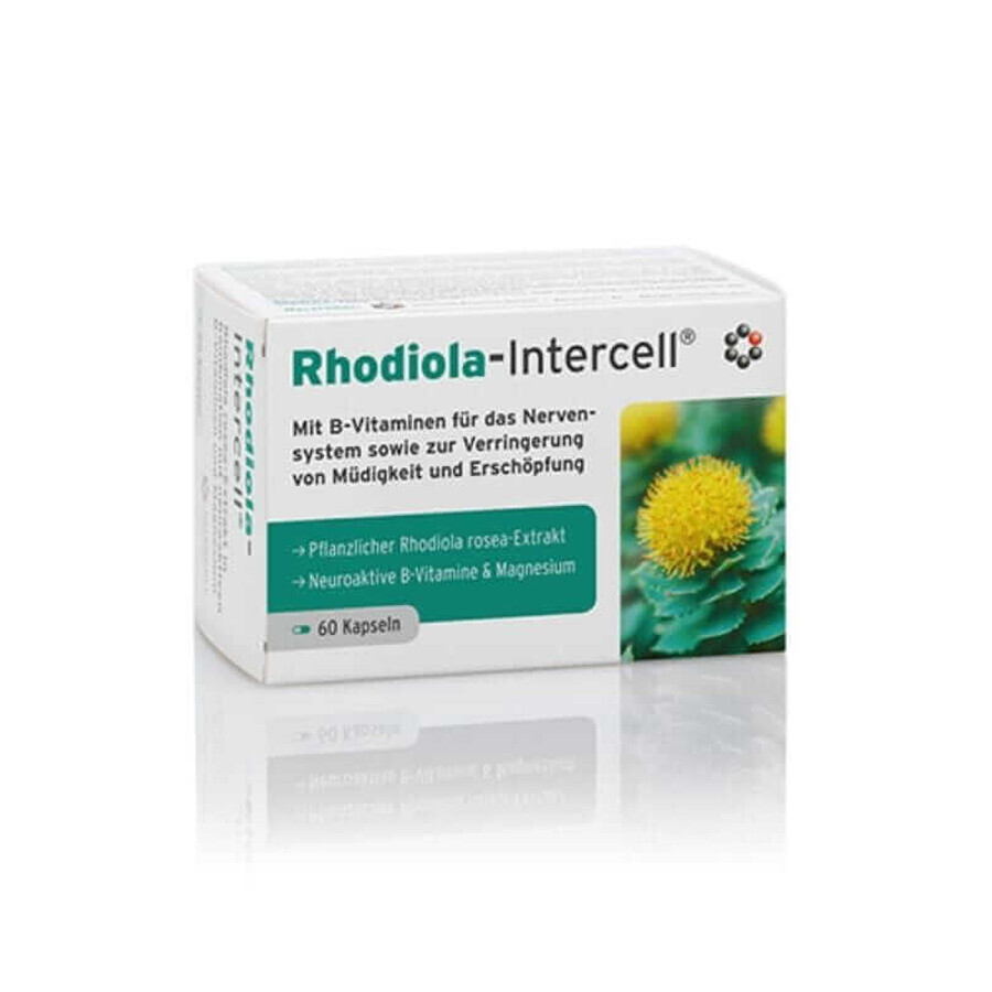 Rhodiola-Intercell Extrait de Rhodiola rosea 60 gélules INTERCELL