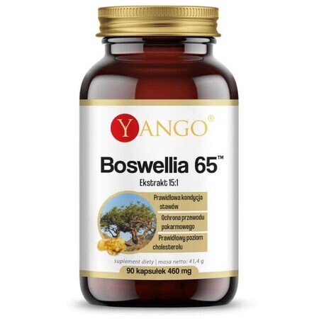 Boswellia 65 (65% ácidos boswélicos)90 cápsulas, Yango