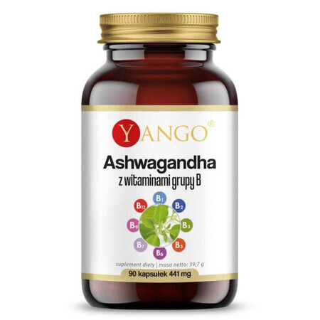 Ashwagandha con vitaminas del grupo B 90 cápsulas Yango