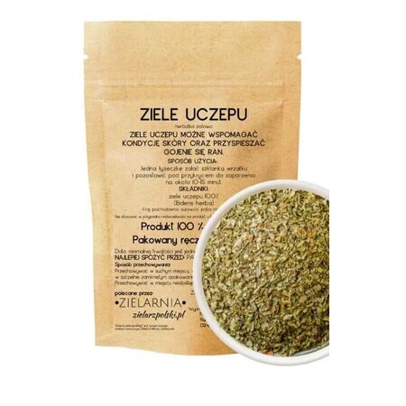 Euphorbia Pflanze 50g ZIELARZPOLSKI