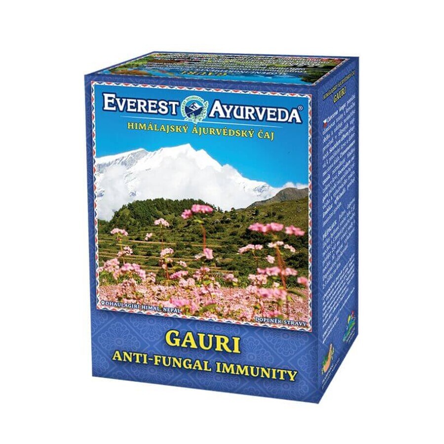 GUARI Ayurveda-Tee ayurvedische Haut Candidiasis und Ekzem 100g Everest Ayurveda