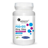 PQQ MGCPQQ® 20 mg + Co-enzym Q10 50 mg (60 capsules) Aliness