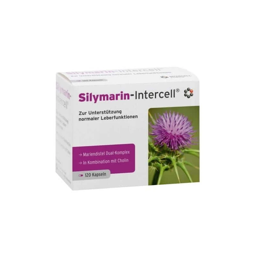 Silymarin-Intercell (Leberunterstützung) 120 Kapseln, Intercell