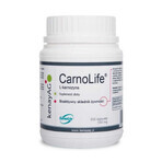 CarnoLife L-Carnosin - 300 Kapseln, Kenay