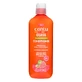 Scalp revitalizing conditioner with guava extract, 400 ml, Cantu