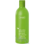 Ziaja - regenerierendes Haarshampoo mit Olivenöl 1×400 ml