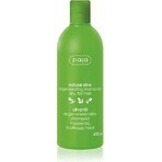 Ziaja - regenerierendes Haarshampoo mit Olivenöl 1×400 ml