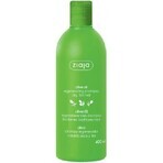 Ziaja - regenerierendes Haarshampoo mit Olivenöl 1×400 ml