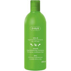 Ziaja - regenerierendes Haarshampoo mit Olivenöl 1×400 ml