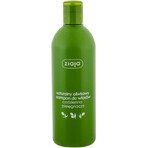 Ziaja - regenerierendes Haarshampoo mit Olivenöl 1×400 ml