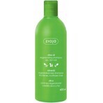 Ziaja - regenerierendes Haarshampoo mit Olivenöl 1×400 ml