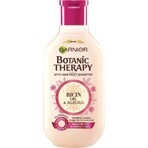 Garnier TERAPIA BOTÁNICA ACEITE DE RICINUS CHAMPÚ 1×250 ml, champú